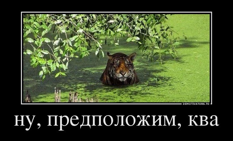 ���������� #1991156