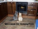 ���������� #1991163