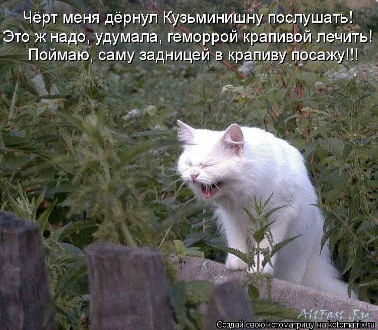 ���������� #1992667