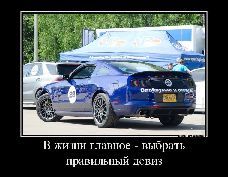 ���������� #1994122