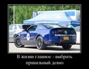 ���������� #1994122