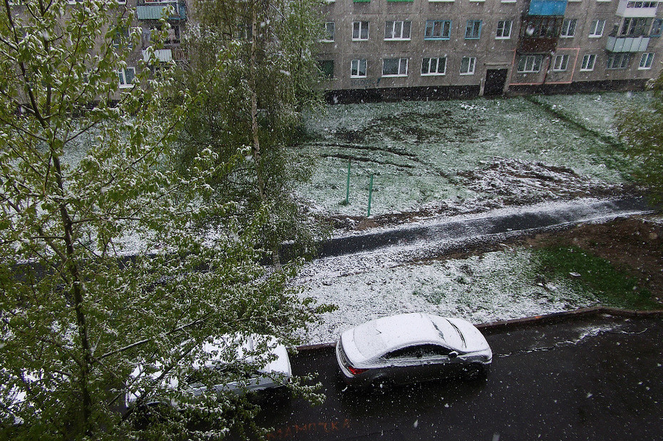 02.06.2013 ����������� �������