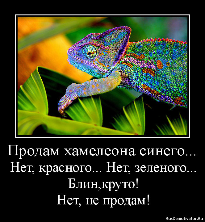 ���������� #1996108
