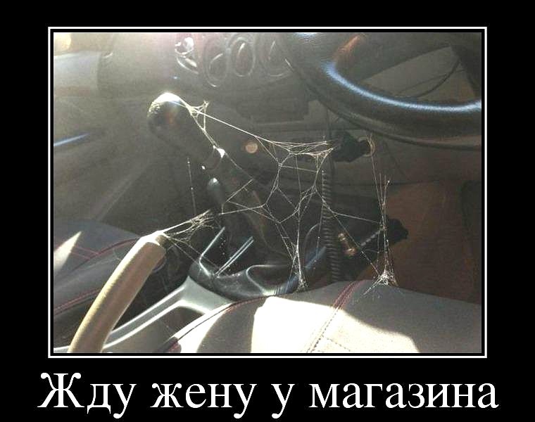 ���������� #1996137