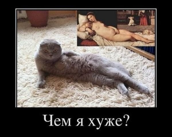 ���������� #1999424