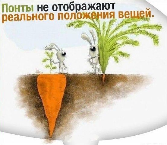 ���������� #2001371