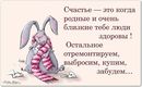 ���������� #2001373