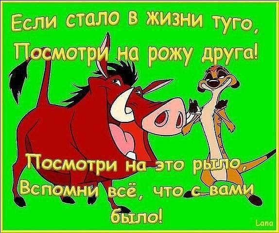 ���������� #2002100