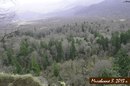 ���������� #2004329