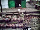���������� #2004410