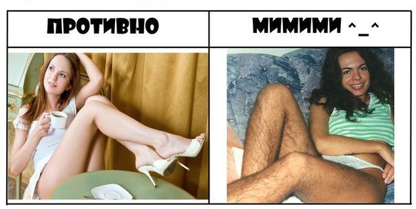 ���������� #2008913