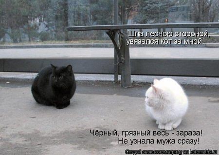 ���������� #2010105