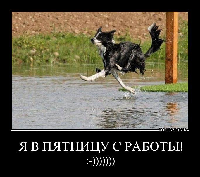 ���������� #2010110