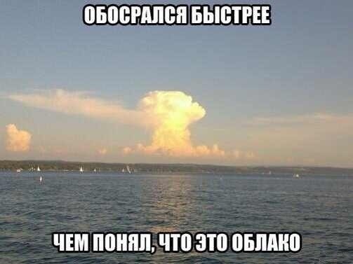 ���������� #2010117