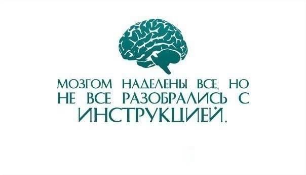 ���������� #2011875