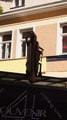 ���������� #2012331