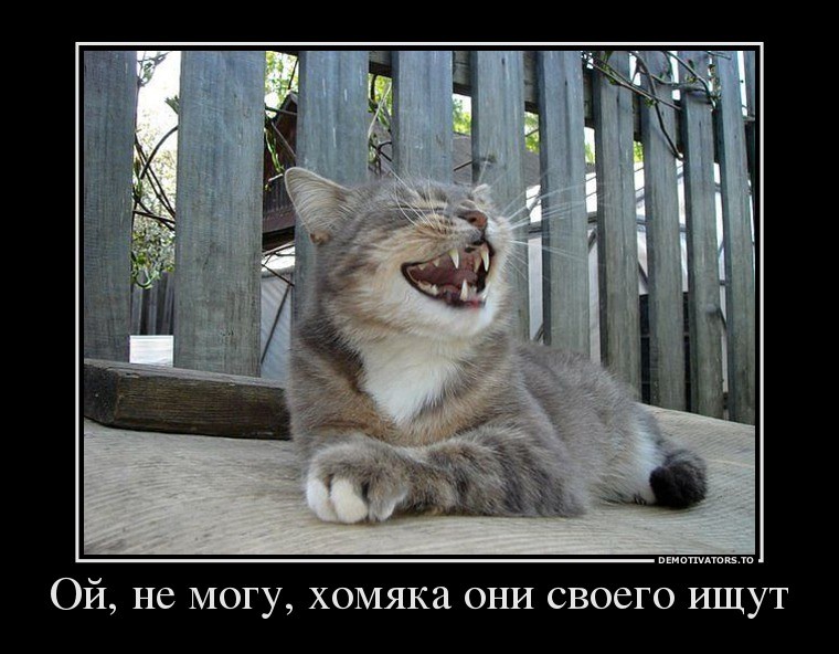 ���������� #2012733
