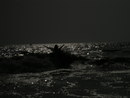 Miss ya so much, my favorite country... In love with India 4ever!