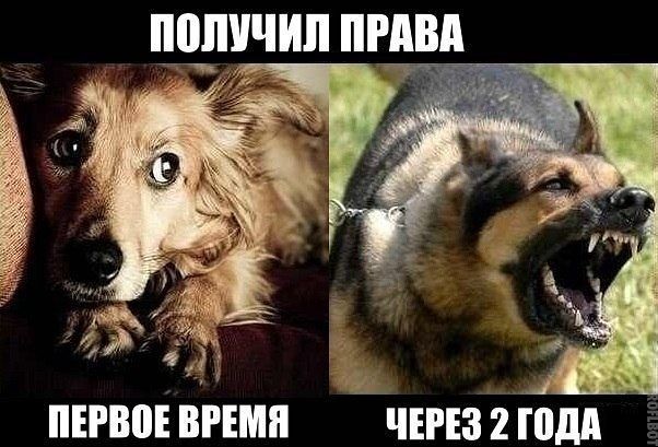 ���������� #2014509