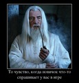 ���������� #2015320