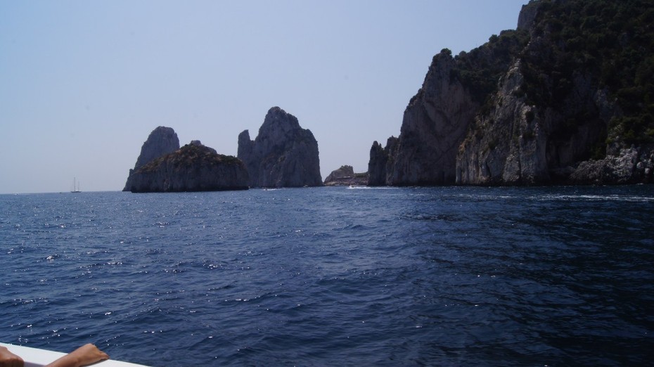���������� #2015649