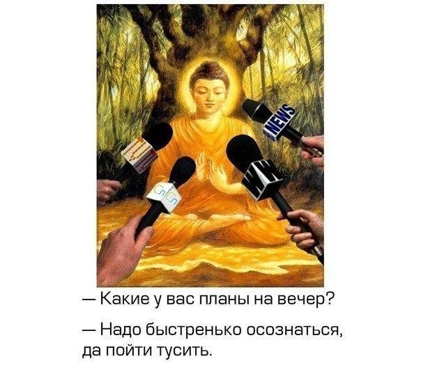 ���������� #2018297