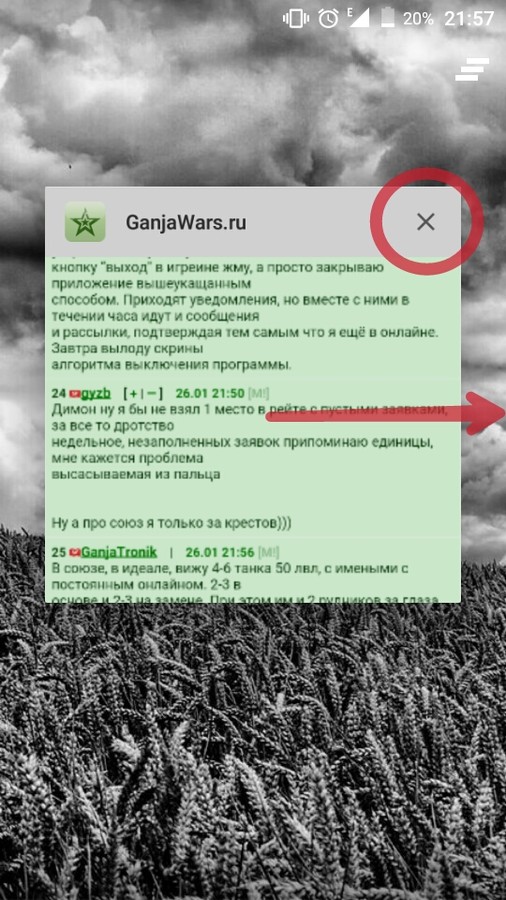 ���������� #2102021