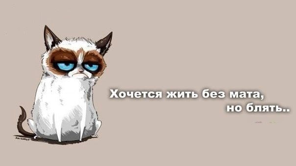 ���������� #2102086