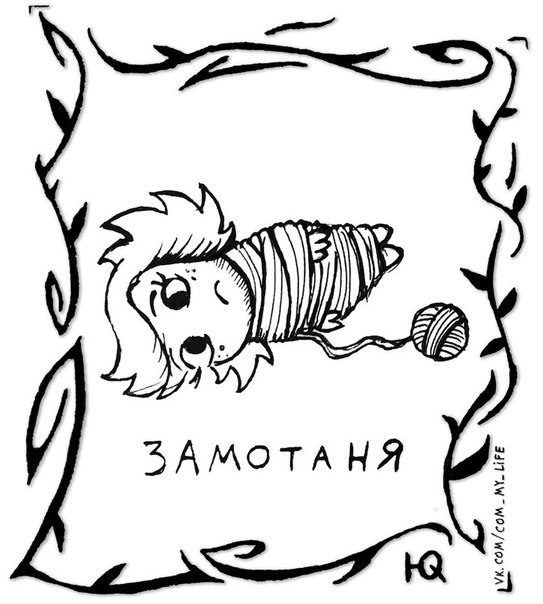 ���������� #2102095