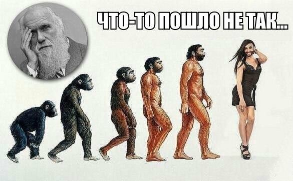 ���������� #2105205