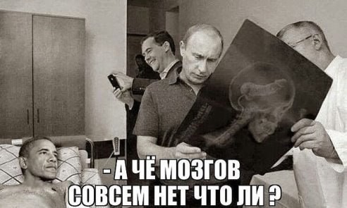 ���������� #2105294