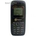 ZTE S305 (Beeline)