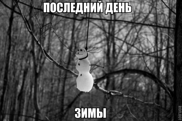 ���������� #2106632