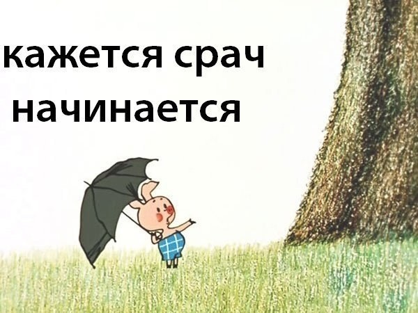 ���������� #2100808