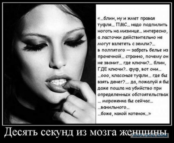 ���������� #2100809