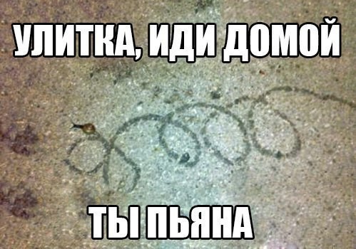 ���������� #2100844