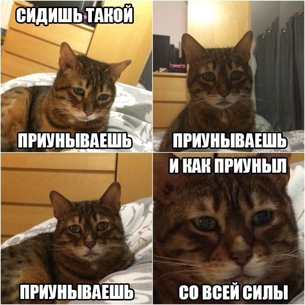 ���������� #2113708