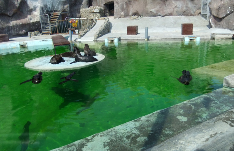 Izhevsk Zoo