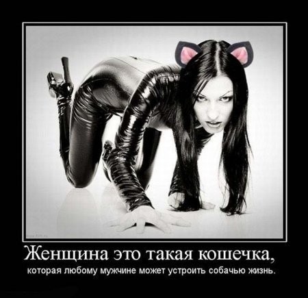 ���������� #2117879