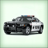 ���������� #2122954