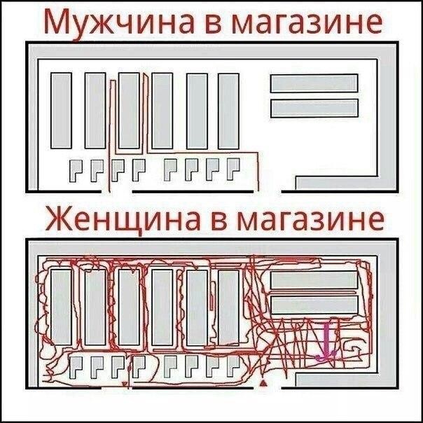 ���������� #2123753