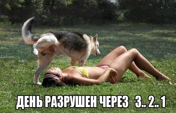 ���������� #2123759