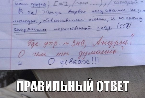 ���������� #2123768