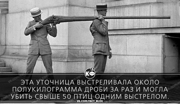 ��-�� ������ ����������� ������� �� ��������� ���� ������������� ��� �������� � ����������� ������������ ������ ��� � 1860-�.
