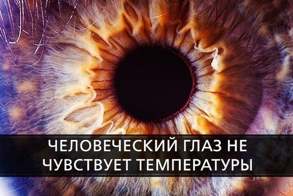 ���������� #2124312