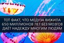 ���������� #2124325