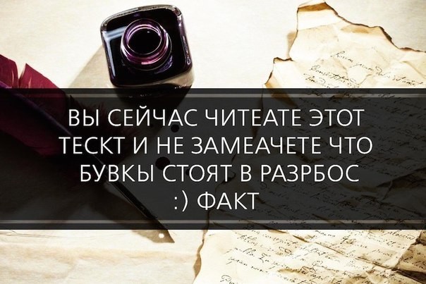 ���������� #2124330