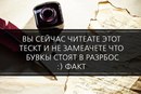 ���������� #2124330