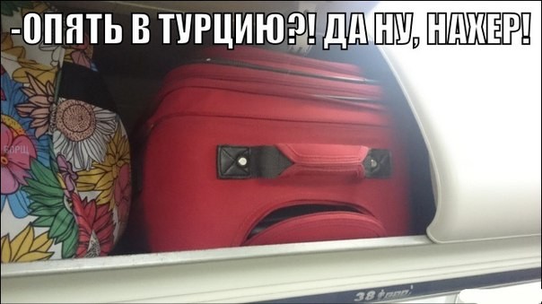 ���������� #2124540