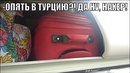 ���������� #2124540
